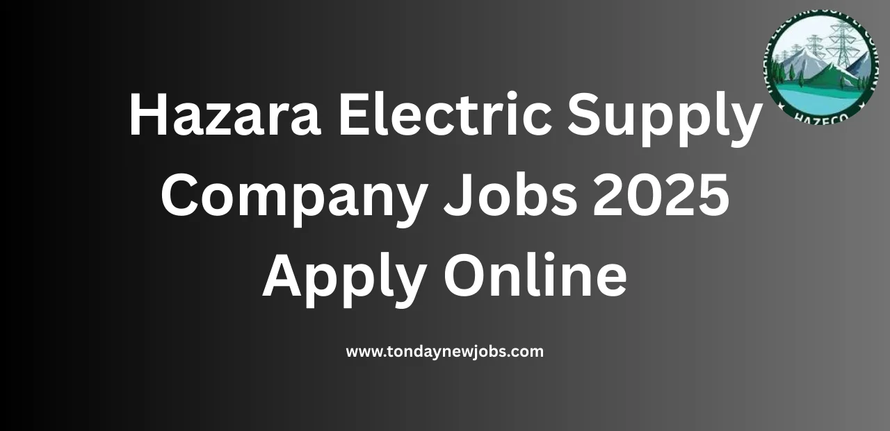 Hazara Electric Supply Company Jobs 2025