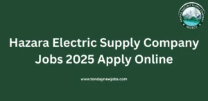 Hazara Electric Supply Company Jobs 2025