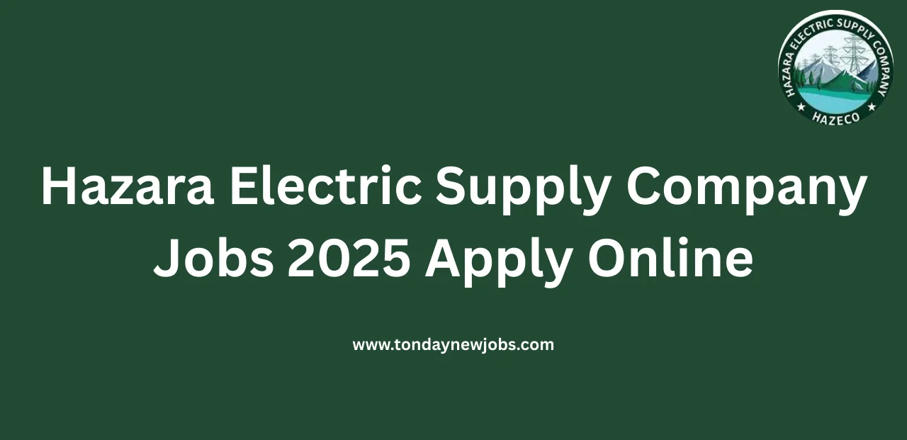 Hazara Electric Supply Company Jobs 2025
