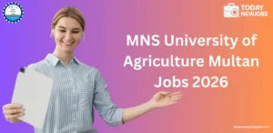 MNS University of Agriculture Multan Jobs 2026